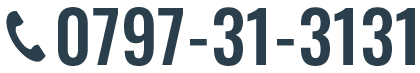 0797-31-3131
